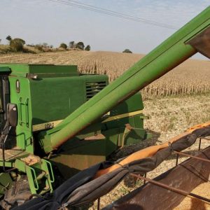 Soja cierra el año con cerca de 11 millones de toneladas cosechadas