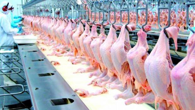 China suspende importação de carne de frango de frigorífico Sul-mato-grossense