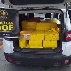 Veículo furtado que seguia para Goiânia com mais de 700 quilos de maconha foi recuperado pelo DOF