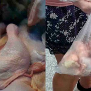 Preços da carne de frango e do ovo disparam em Campo Grande: ‘o jeito é comer menos’