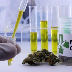 Remédios à base de cannabis avançam nas farmácias