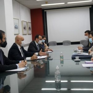 Paraguay y Japón dialogaron sobre oportunidades comerciales y de inversión