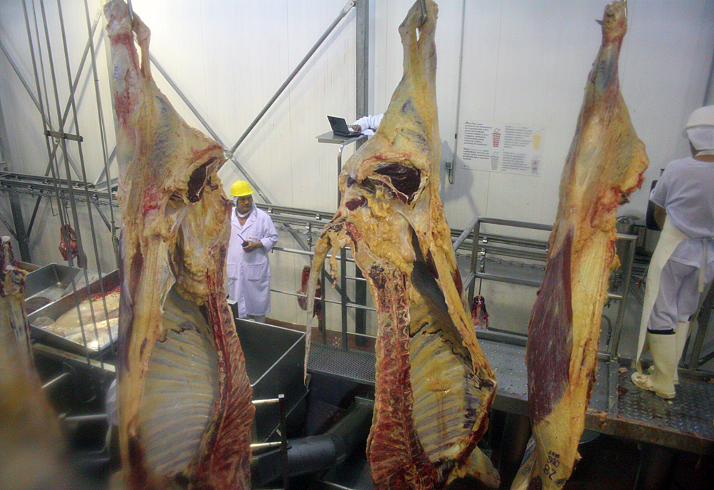 Rusia debe USD 30 millones por carne paraguaya, pero no tiene forma de pago