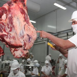 Analizan medidas para encarar problemática de exportación de carne a Rusia￼