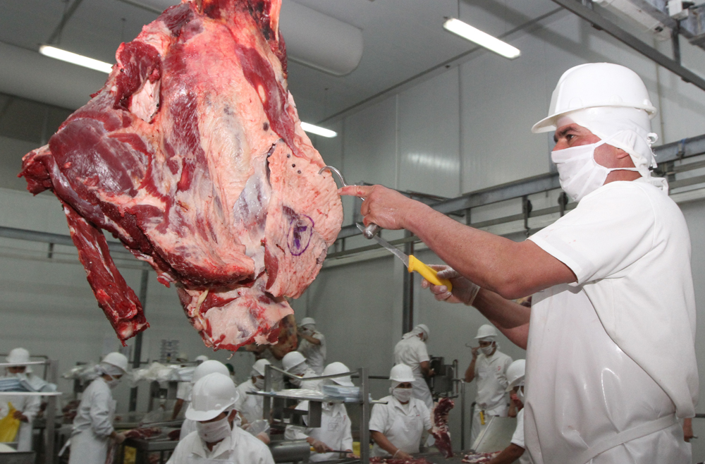 Analizan medidas para encarar problemática de exportación de carne a Rusia￼
