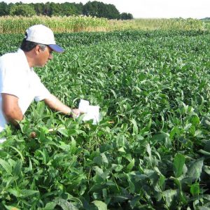 Firma europea interesada en ampliar volumen importado de harina de soja paraguaya certificada￼