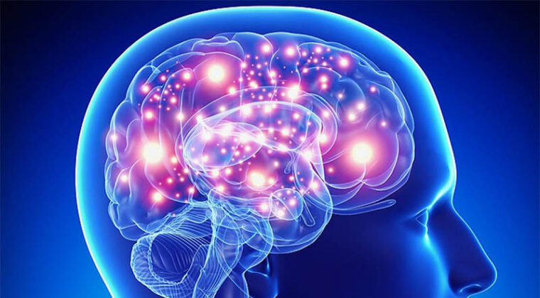 Epilepsia: patología frecuente que afecta hasta al 1% de la población
