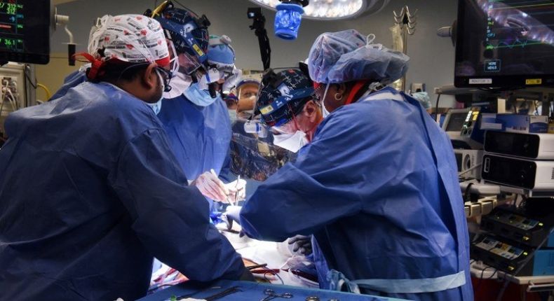 Morre o primeiro paciente que recebeu transplante de coração de porco