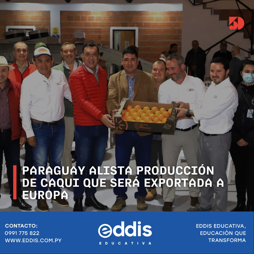 La fruta caqui está siendo cultivada en Paraguay para ser exportada al mercado europeo
