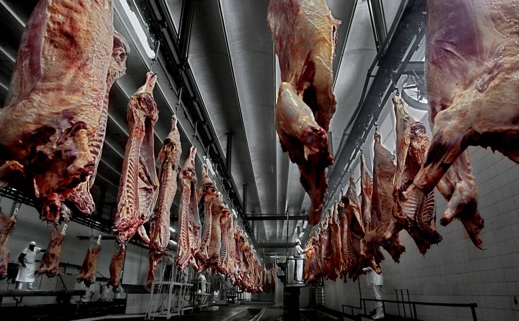 Brasil ya agotó cuota de terceros países y Paraguay podría ingresar para exportar carne a EEUU￼