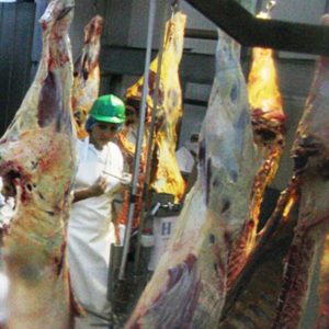 En los primeros tres meses del año, Paraguay exportó carne bovina por US$ 357 millones￼