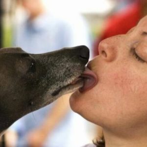 Los besos de perro pueden contagiar una superbacteria letal para los humanos