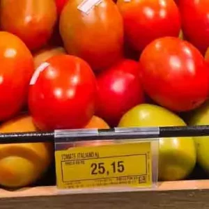 Preço do tomate chega a R$ 25 kg e assusta cliente de supermercado em Campo Grande￼