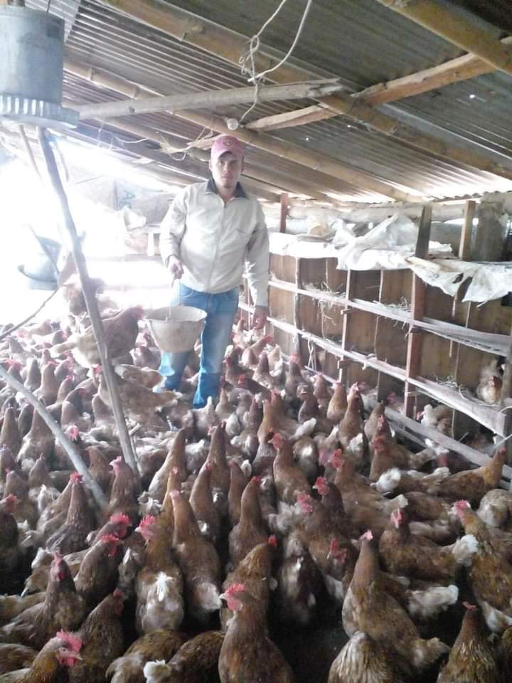 Productor sampedrano se destaca con su familia mediante la producción y comercialización de huevos
