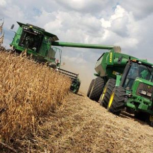 USDA estima caída mundial de la soja del 5%, Paraguay y Brasil serán los más afectados￼