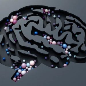Cómo responde el cerebro a eventos inesperados, según científicos del MIT