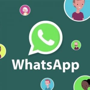 WhatsApp: cómo silenciar a cualquier persona en una llamada de voz grupal