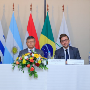 Mercosur evalúa acciones para recuperar economía y dar protección social tras pandemia￼