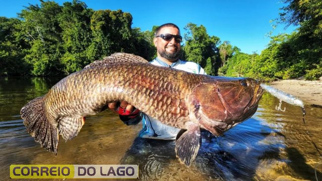 Maior trairão do Brasil é pescado no Pará e santa-helenense amante da pesca esportiva comemora o feito￼