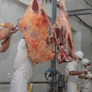 Paraguay exportó cerca de 165.000 toneladas de carne bovina en primer semestre del 2022￼
