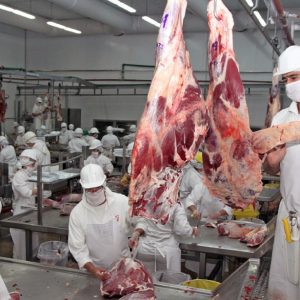 Técnicos continuarán inspecciones para la apertura del mercado de EE.UU. a la carne paraguaya￼