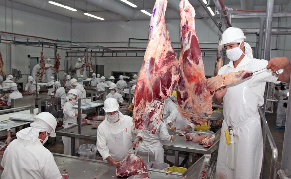 Técnicos continuarán inspecciones para la apertura del mercado de EE.UU. a la carne paraguaya￼