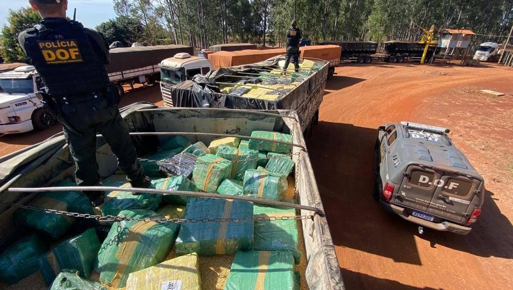 DOF apreende quase 7 toneladas de maconha que seguia para o Paraná