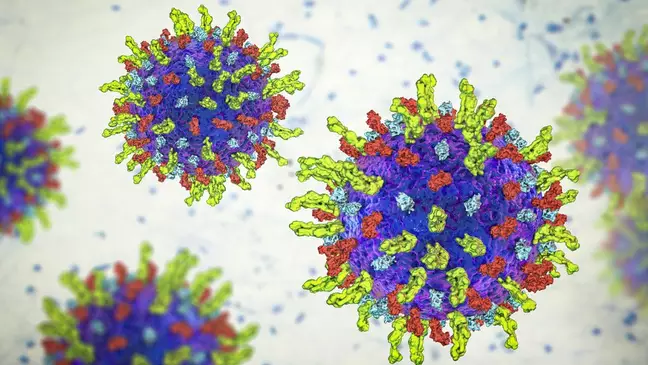 O vírus que destrói câncer e pode revolucionar tratamento de tumores avançados, segundo cientistas￼