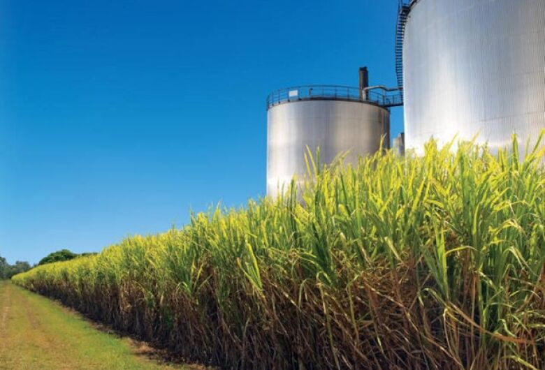 Setor do etanol reforça compromisso com o enfrentamento à crise climática