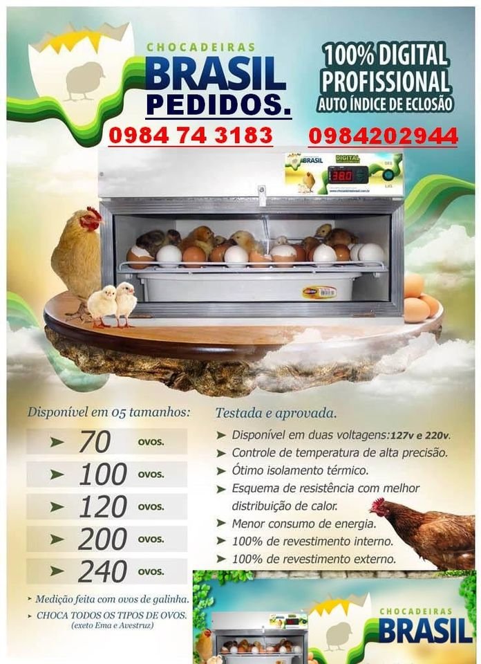 Incubadoras para huevos de gallina, patos, codornices entre otros.