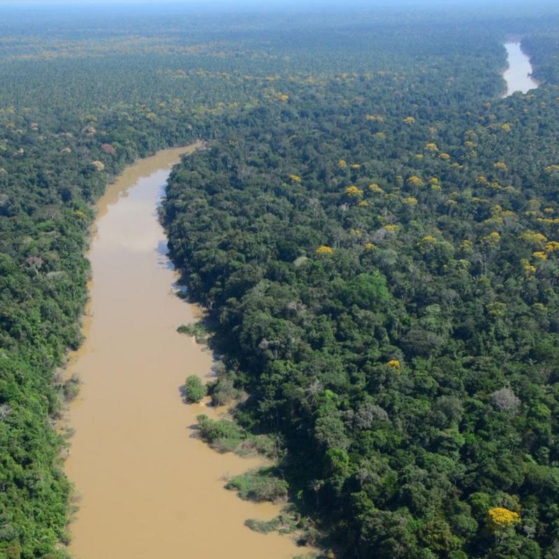 Amazônia: indígenas viveram na floresta por 5 mil anos sem destruir bioma, mostra estudo