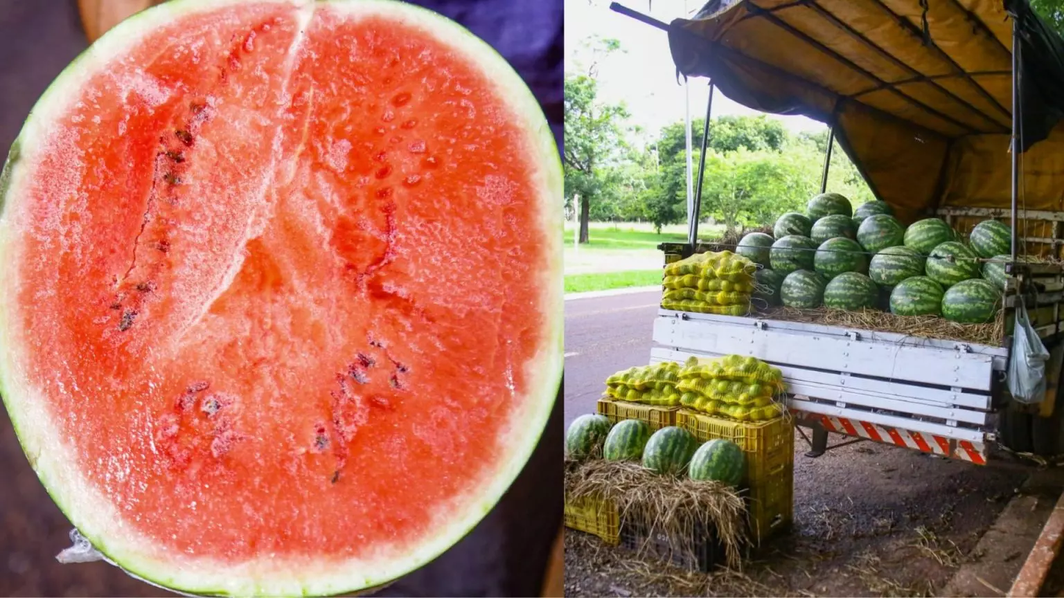 A melancia ‘do caminhão’ é realmente mais gostosa que a vendida nos supermercados?