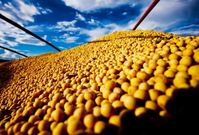 Com supersafra de soja, Brasil deve exportar 93 mil de ton em 2023