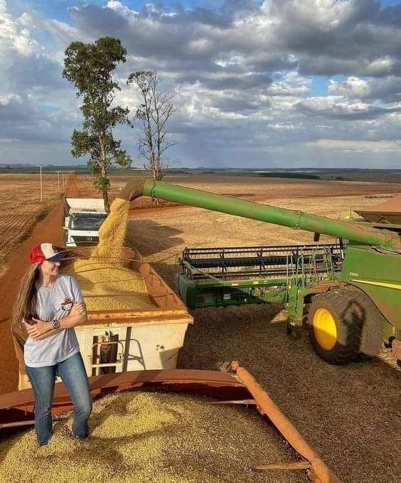 Paraguay se mantiene como 6.° mayor productor de soja en el mundo, según USDA