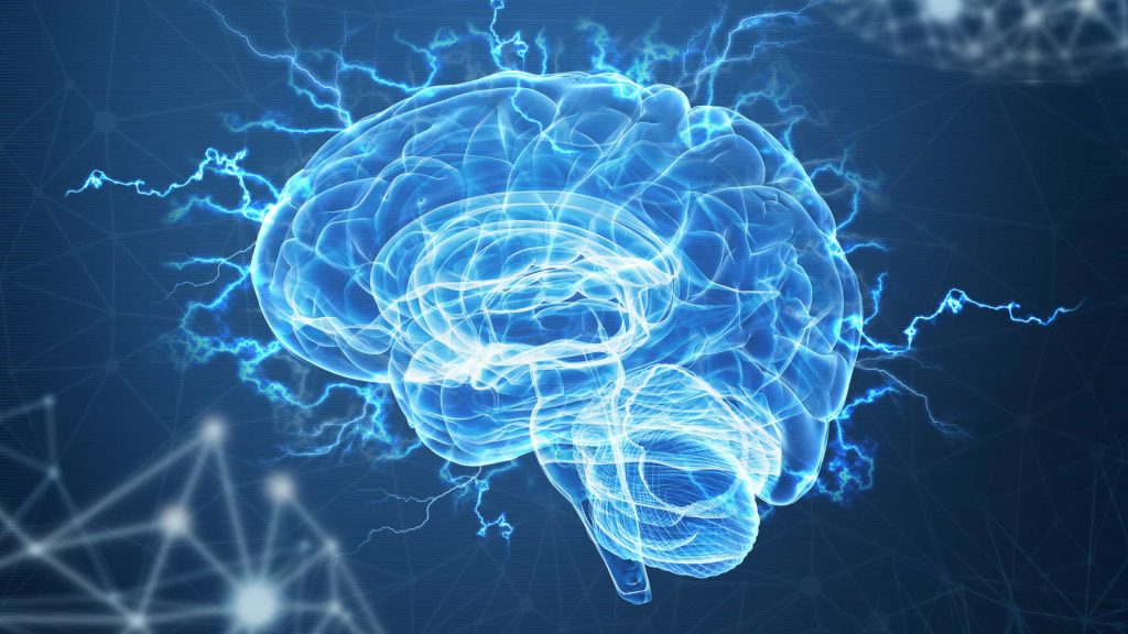 Neurocientista dá dicas de jogos para estimular o cérebro
