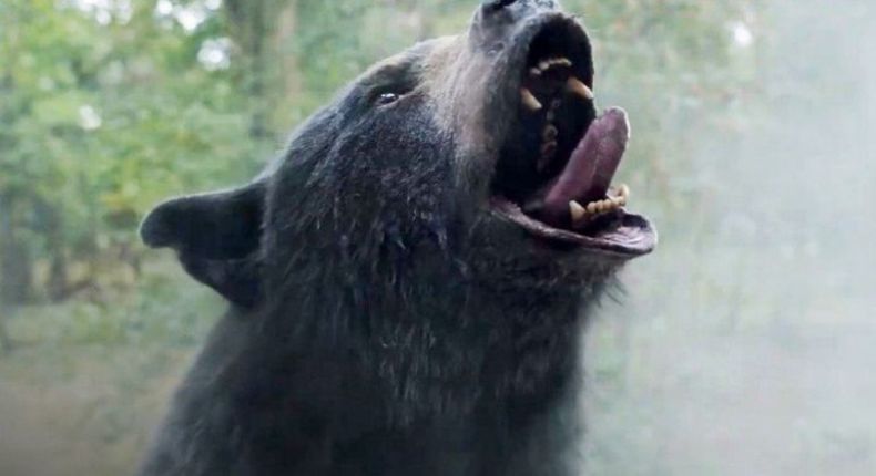 Filme de urso assassino que come carga de cocaína é nova aposta dos críticos de cinema, veja o trailer
