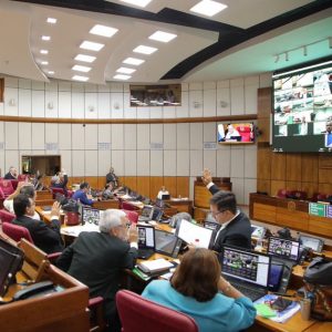 Senado rechaza proyecto que modifica plan de manejo de médanos del Chaco