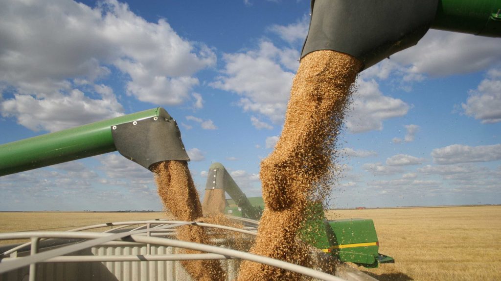 Agricultura: exportações do agronegócio em maio atingem novo recorde
