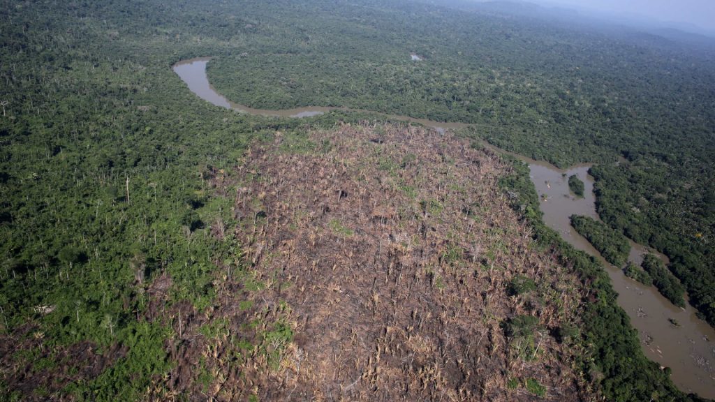 Desmatamento na Amazônia cai 66% em relação ao mesmo mês no ano passado