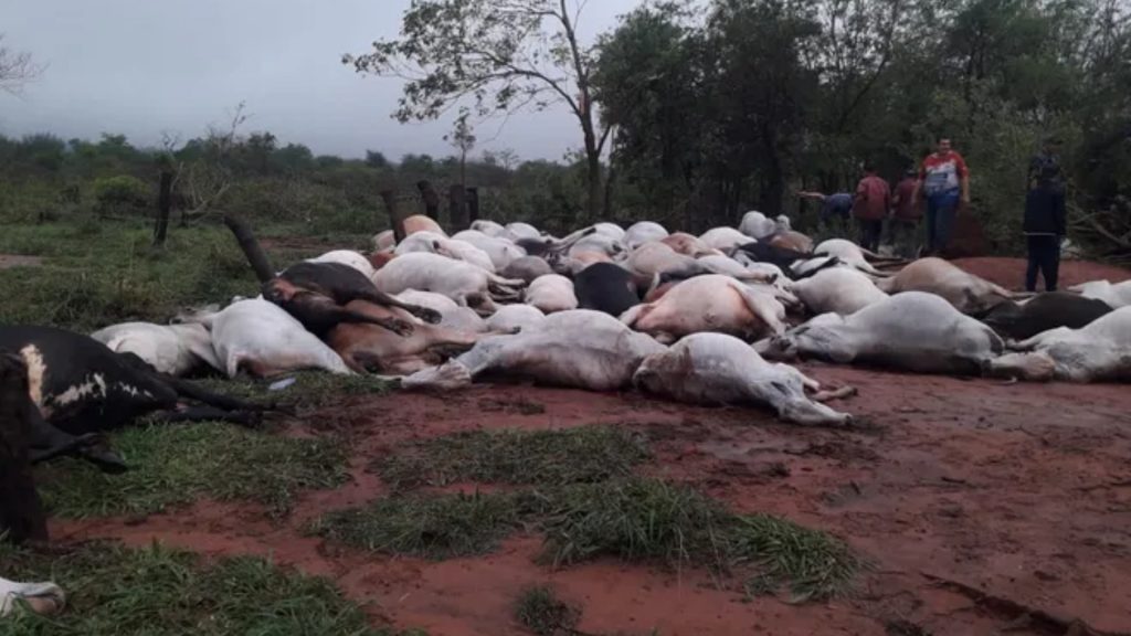 Raio mata 80 animais e destelha casas no Paraguai próximo da fronteira com MS