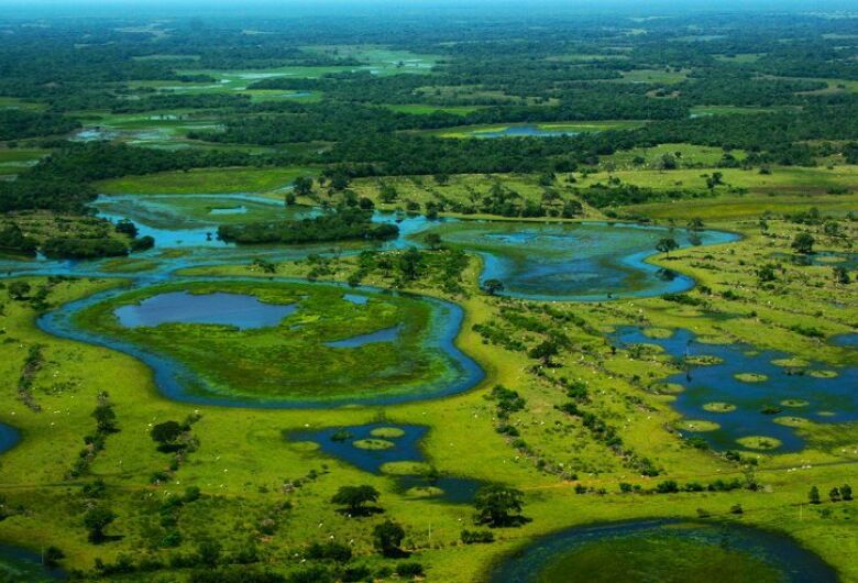 Projeto da Lei Ambiental do Pantanal proíbe lavoura e confinamento bovino