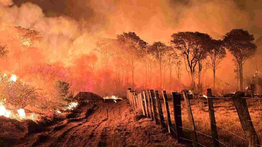 Em situação de emergência por incêndios, Corumbá tem a maior temperatura do Brasil