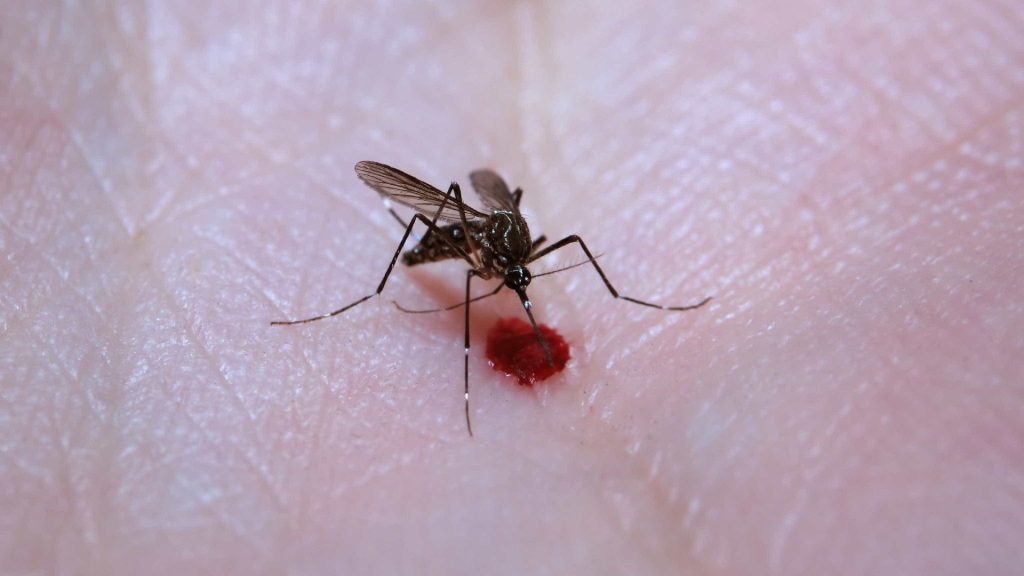 Rio confirma primeiro caso de dengue tipo 4 desde 2018