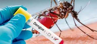 Medo da dengue é maior entre mais velhos, menos escolarizados e de baixa renda, diz Datafolha