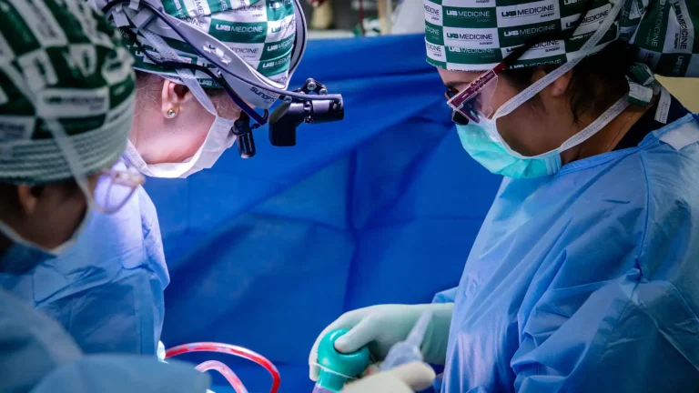 Por primera vez, un riñón de cerdo modificado genéticamente fue trasplantado con éxito en una persona viva