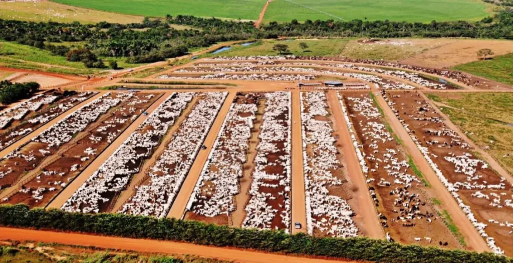 Fazenda Conforto é a mais sustentável do Brasil, e líder em confinamento