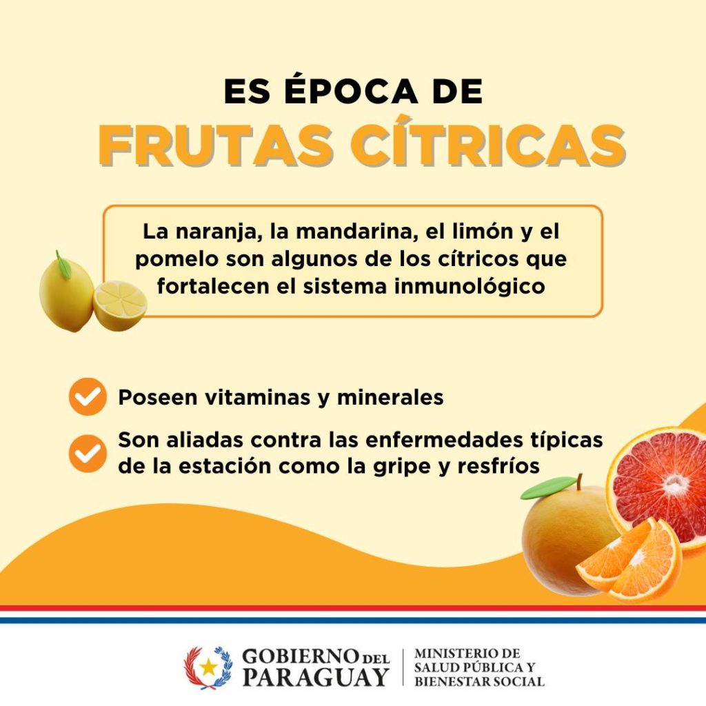 Consumir a diario frutas y verduras aportan fibra, agua, vitaminas y minerales que el organismo necesita.