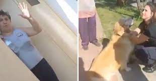 Argentina: Mujer llevó a su perro a la carnicería y preguntó si lo podían “faenar”