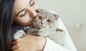 ¿Cuáles son las formas en que un gato puede expresar su amor?