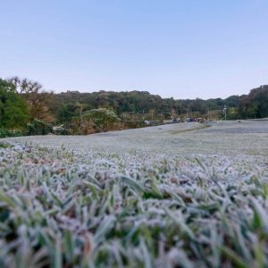 Frente fria no Paraná: mínimas podem chegar a 7°C nos próximos dias